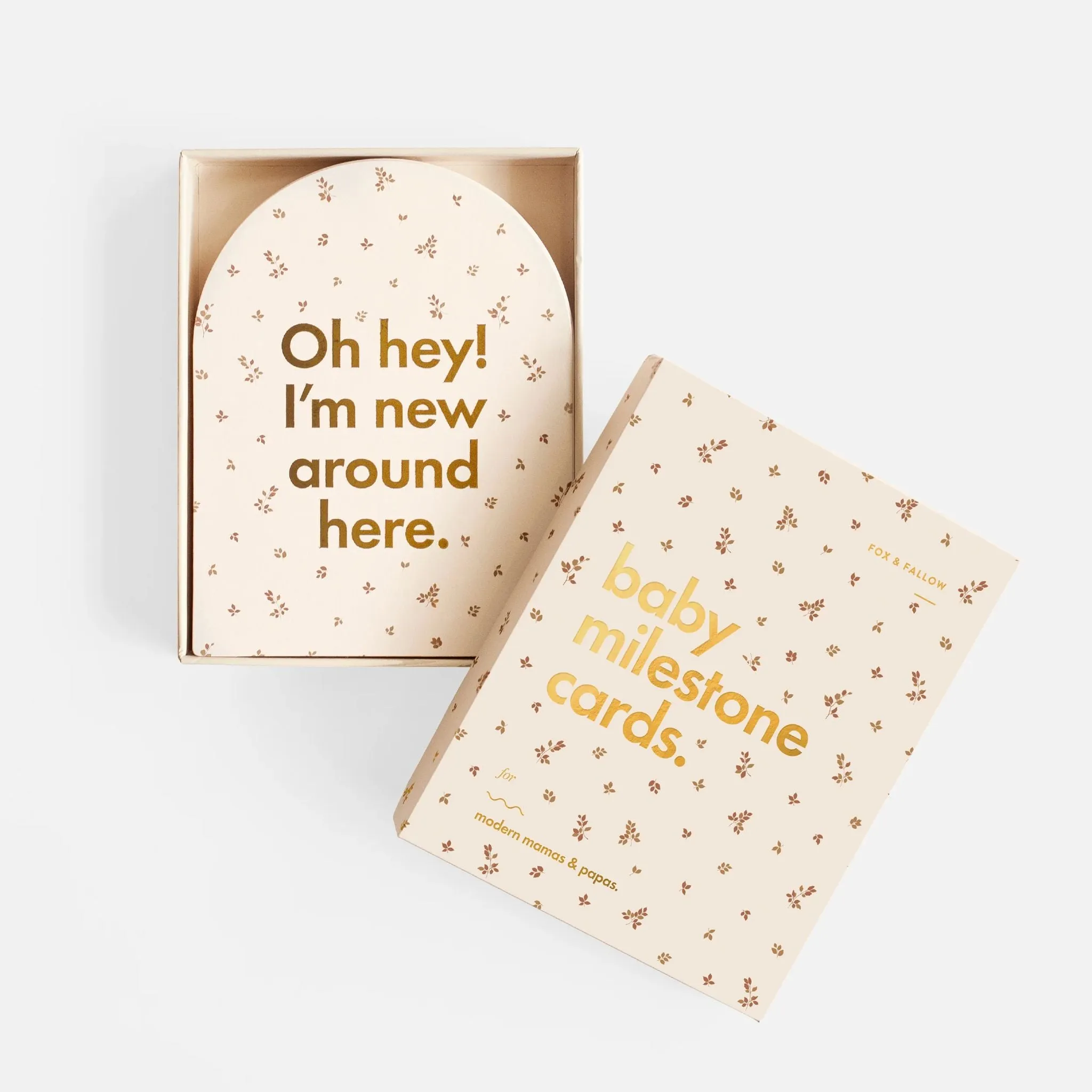 Baby Milestone Cards (Multiple Styles)