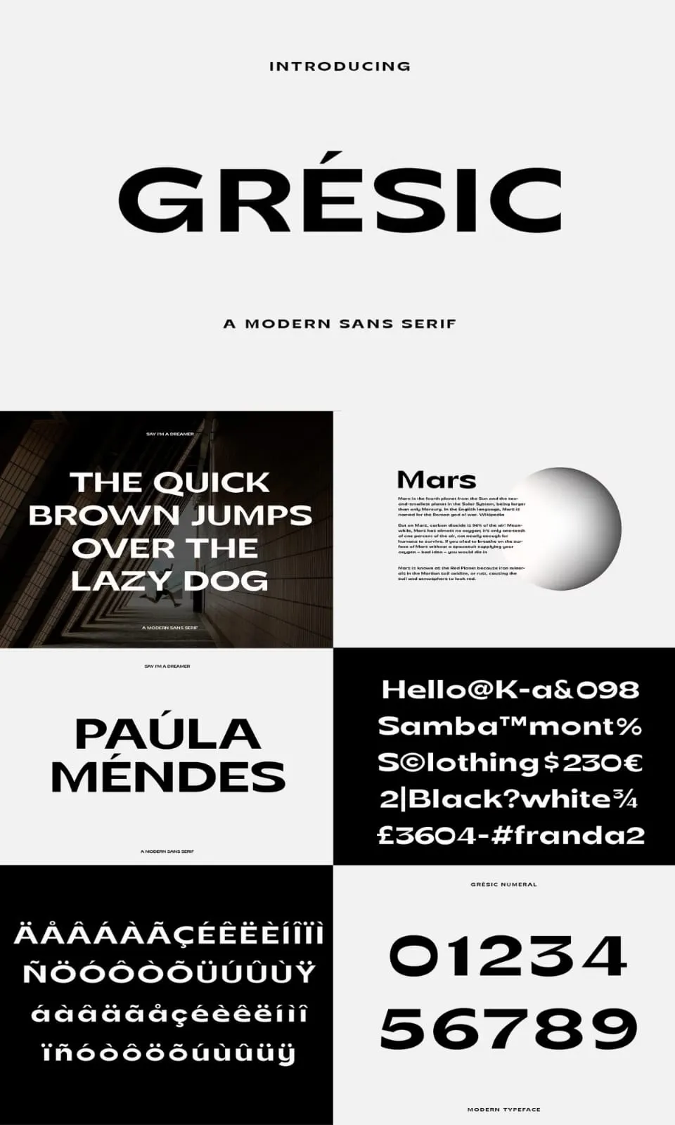 Font Bundle - Sans Series