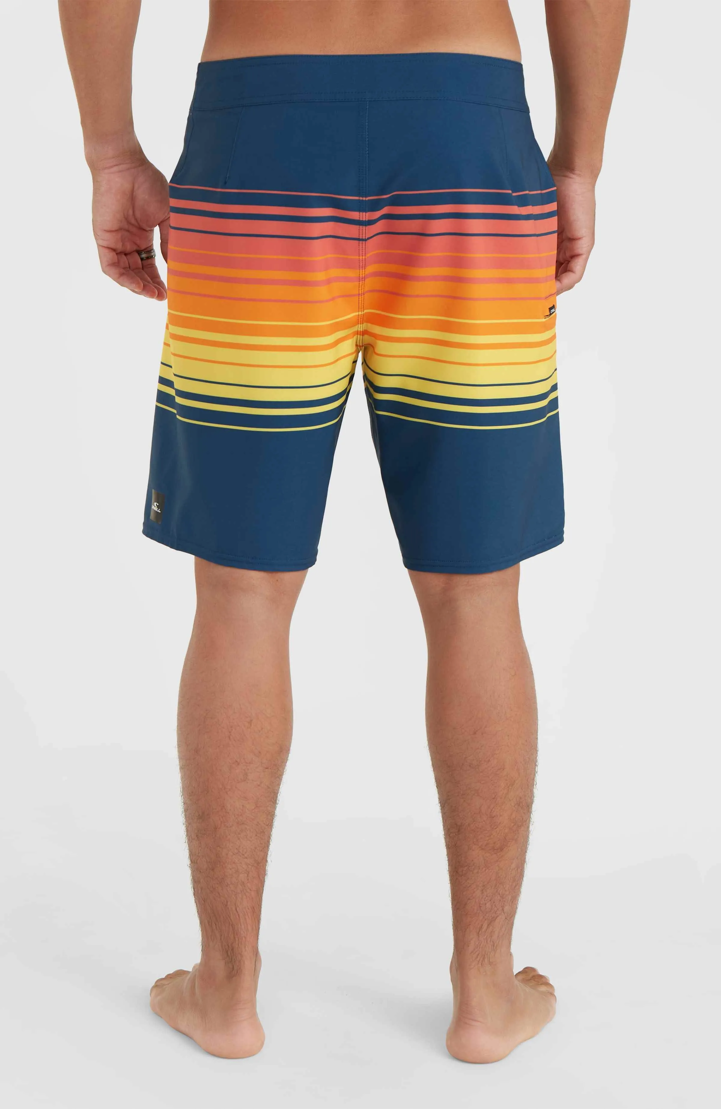Hyperfreak Heat Stripe Line 19" Boardshorts | Indigo Stripe Panel